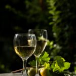 cubizolles-de-la-terre-a-l-apa-c-ro-3-YD0E47r7NaCqraww