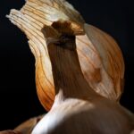 _mg_0194_2-6KR1Dq2i1ZrfvmBM