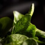 _mg_1095-QvaiWJwd91A5tbYr