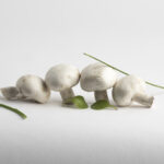 CUBIZOLLES_PRAT26_STUDIO6_2_4189