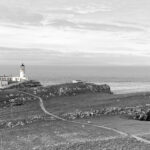 img_2516comp_4