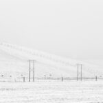 _mg_2050comp_2