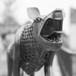 _mg_5705_1