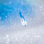 _mg_0937VF